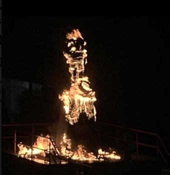 Протестующие в Венесуэле сожгли статую Чавеса