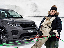 Land Rover погонялся с собачьей упряжкой