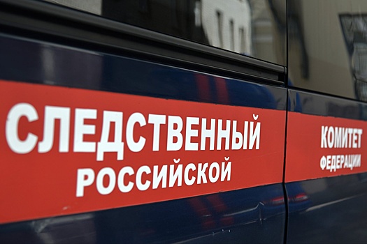 Бастрыкин поручил передать дело о сожжении Корана в Волгограде следователям из Чечни