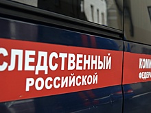 Бастрыкин поручил передать дело о сожжении Корана в Волгограде следователям из Чечни