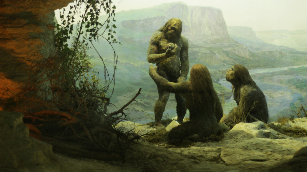 Древняя ДНК выявила неизвестную группу неандертальцев, по-видимому, застывших во времени