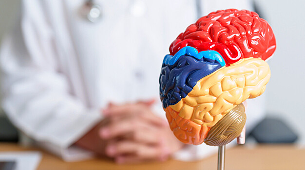 Обнаружен новый «ключ» к лечению болезни Альцгеймера