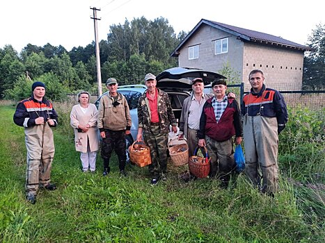 Спасатели Можайска нашли в лесу трёх грибников