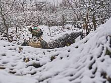 "Если доживем до апреля": в Киеве хотят "победить", пережив страшную зиму