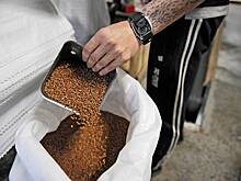 В Китае заявили о резком росте закупок российской гречихи