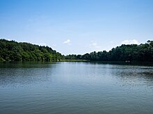В Подмосковье очистили свыше 200 километров рек в 2024 году
