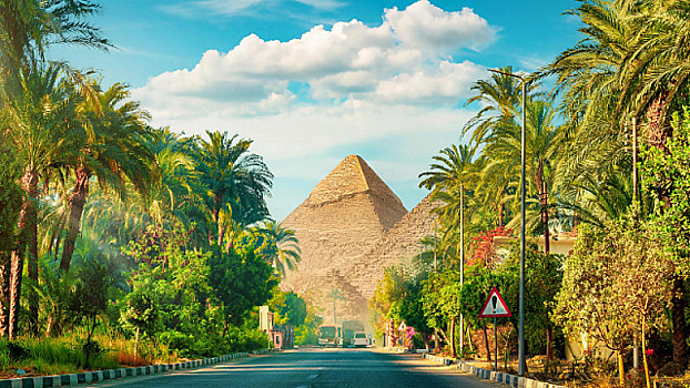 МВФ и международные партнеры Египта вложат в экономику страны более 20 млрд долларов