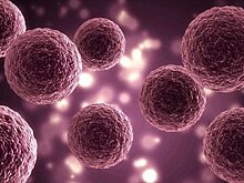 Искусственные клетки помогут побороть опасные инфекции