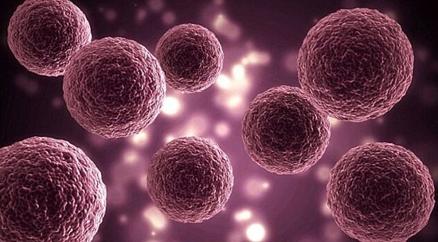 Искусственные клетки помогут побороть опасные инфекции