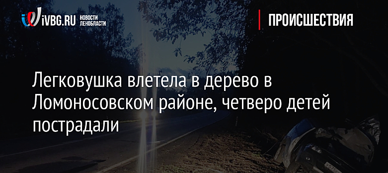 Легковушка влетела в дерево в Ломоносовском районе, четыре ребенка пострадали