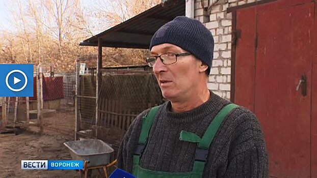 В Воронеже основателя приюта для бездомных собак «Дора» обвиняют в захвате земель