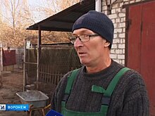 В Воронеже основателя приюта для бездомных собак «Дора» обвиняют в захвате земель