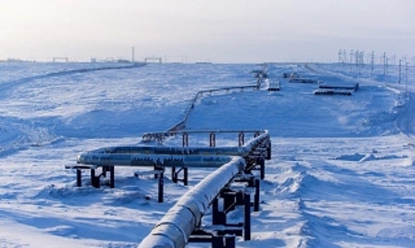 Газпром заботит экология. Для труб газопроводов сделают биоразлагаемые заглушки