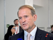 Медведчук назвал стоимость полезных ископаемых на неподконтрольных Киеву территориях