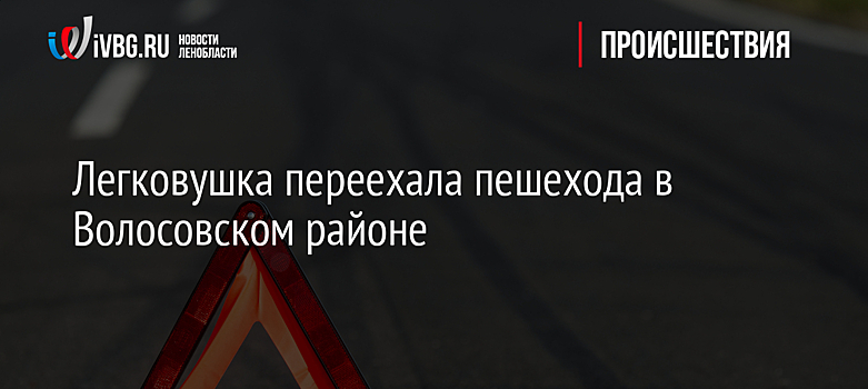 Легковушка переехала пешехода в Волосовском районе