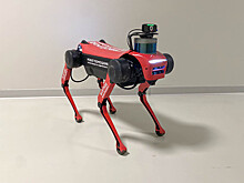 Москвичи выбрали имя для робота‑собаки на службе Госинспекции по недвижимости