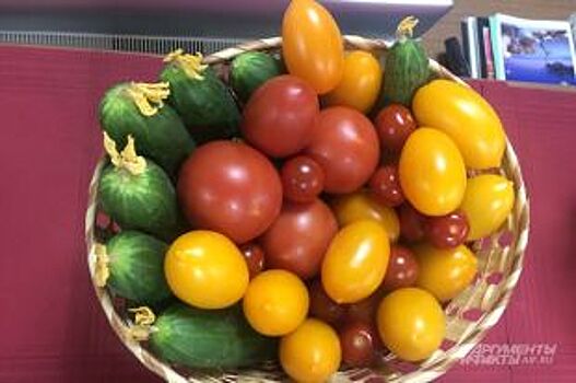 Более 5 тысяч тонн помидоров и огурцов готова выпускать Суражевка