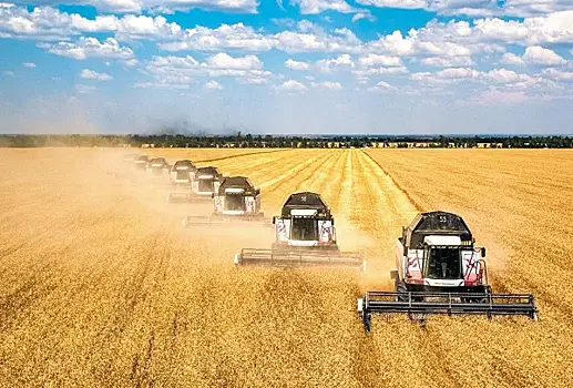 Урожай идей: аграрии осваивают новые рынки