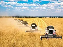 Урожай идей: аграрии осваивают новые рынки