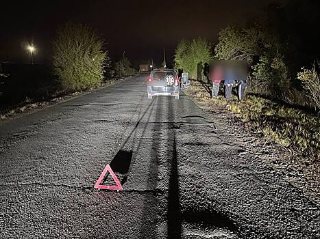 В Оренбургском районе водитель «Ларгуса» наехал на пешехода с подростком в коляске