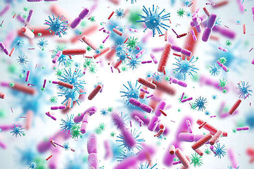 Nature: вирусы-бактериофаги научили подавлять иммунитет бактерий
