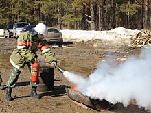 В регионе проходит акция «Сохраним лес от пожара»