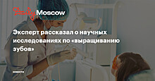 Эксперт рассказал о научных исследованиях по «выращиванию зубов»