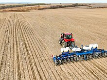 Приморский рис 2023 посеян весь с перспективой урожая свыше 25 тысяч тонн