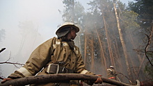 Четыре лесных пожара ликвидировали в Подмосковье за прошедшие сутки