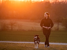 Кинолог дал совет, как вести себя во время прогулок с питомцем в сумерки