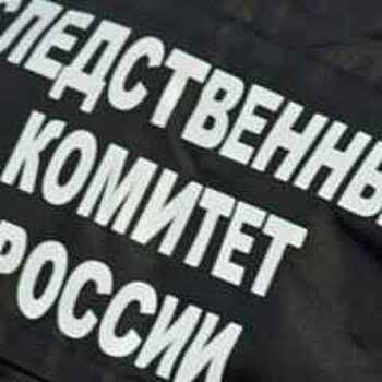 СК начал проверку после гибели трех человек под колесами электричек в Московском регионе 12 декабря