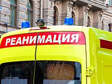 Пятилетний ребенок попал в реанимацию после укуса змеи под Москвой