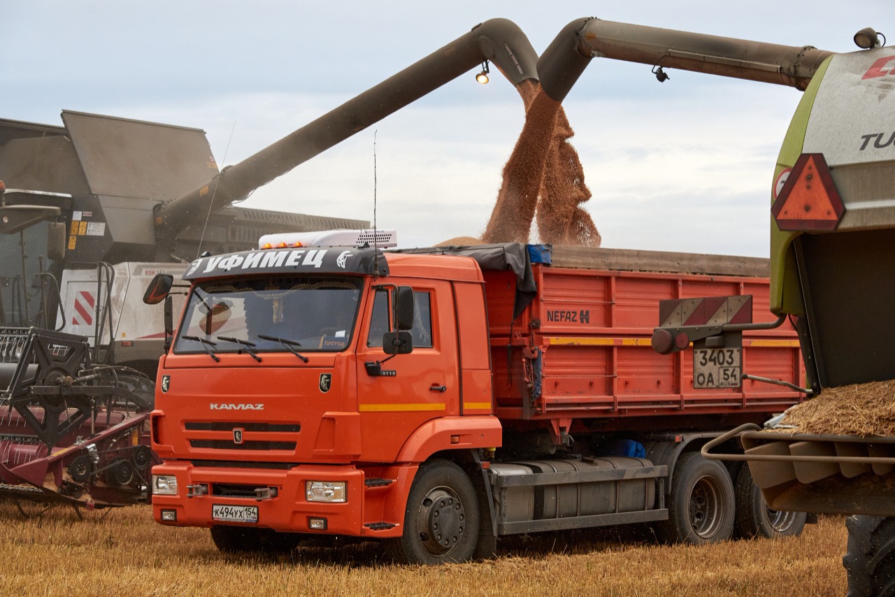 Новосибирская область в 1,5 раза нарастила объёмы экспорта зерна в Китай