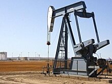 Сергей Кауфман: "Российский нефтегаз смотрится устойчиво, но риски остаются"