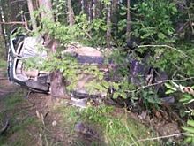 В Ковровском районе автомобиль вылетел с дороги в лес, есть пострадавшие