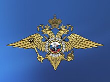 Вячеслав Володин поздравил участковых уполномоченных полиции с профессиональным праздником