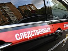 В Нижегородской области задержали двух сотрудников ГУФСИН