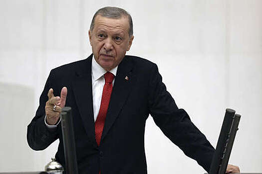 Эрдоган заявил, что Совбез ООН не может добиться никаких результатов