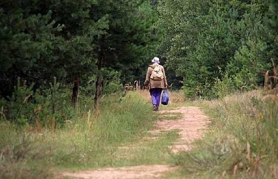 В Лабытнанги разыскивают пенсионерку, исчезнувшую полмесяца назад