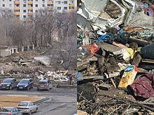 «С ними скоро будут играться дети»: кварталы Краснооктябрьского района Волгограда заполонили крысы