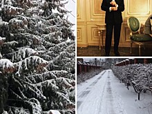 Вот и зима пришла: звезды радуются первому снегу