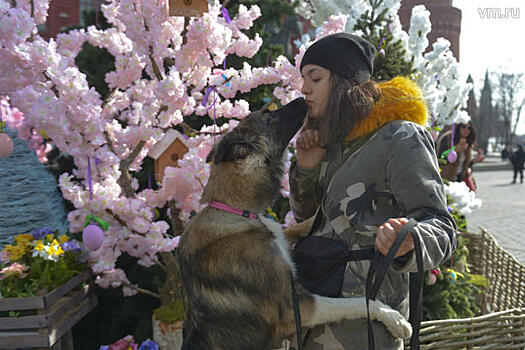 Как провести пятничный вечер в столице