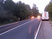 Пьяный водитель погиб в кювете в Борском районе