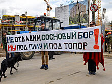 Прокуратура приостановила прокладку коммуникаций в охраняемом парке