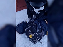 Подрывника аэродрома и поезда в Рязанской области готовили к теракту в Латвии
