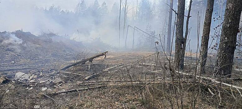 Нелегальная свалка горела на пересечении улицы Федосеенко и Московского шоссе