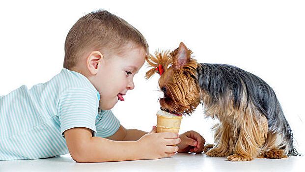 Какие вредные привычки защищают от аллергии