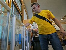 Без Савченко, Черновол, Гончаренко и еврооптимистов. Кто не попал в новую Раду