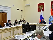 Поддержат идеи рублем: власти Самарской области приняли "Народный бюджет"