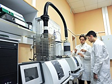 Новые гранты и премии поддерживают молодых российских исследователей